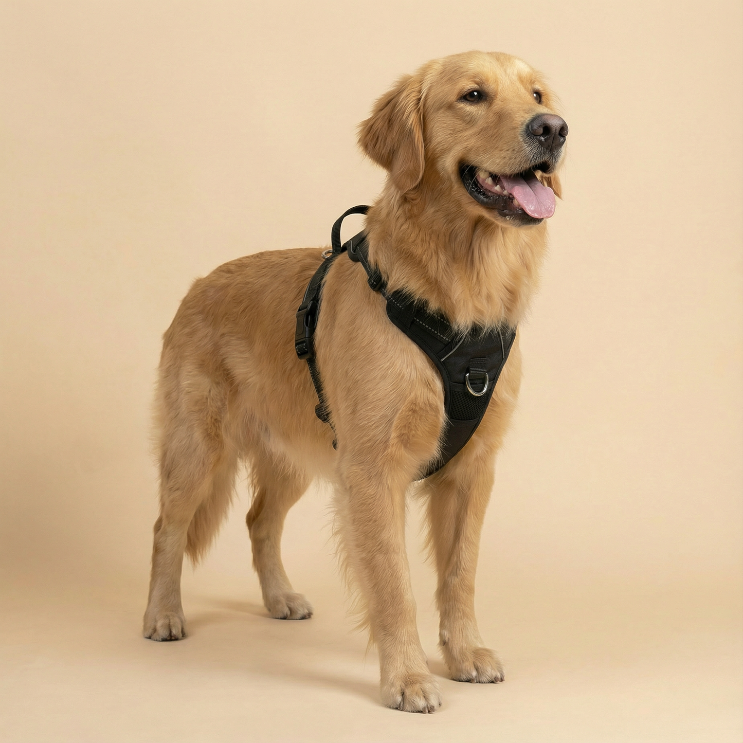 PAWZIE ANTI-PULL HARNESS