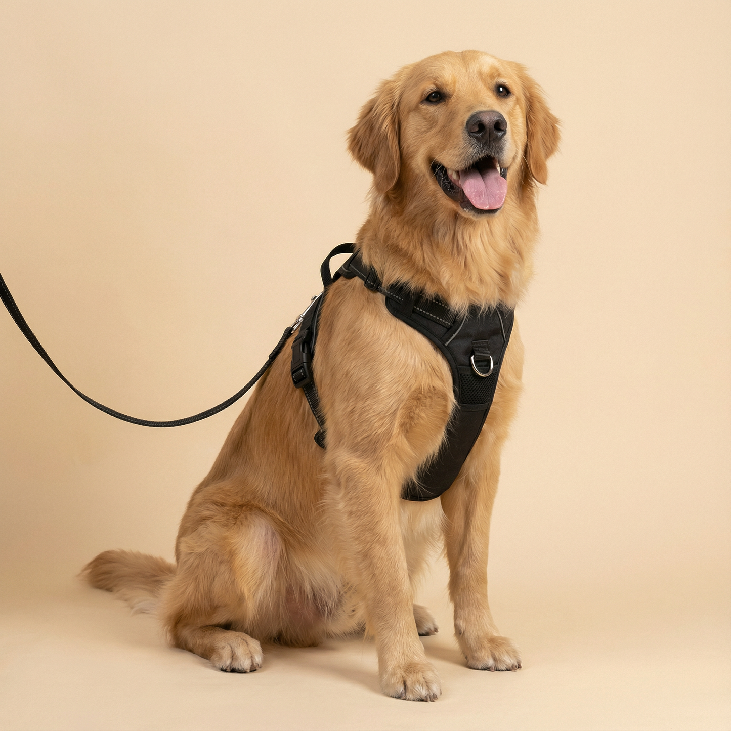 PAWZIE ANTI-PULL HARNESS