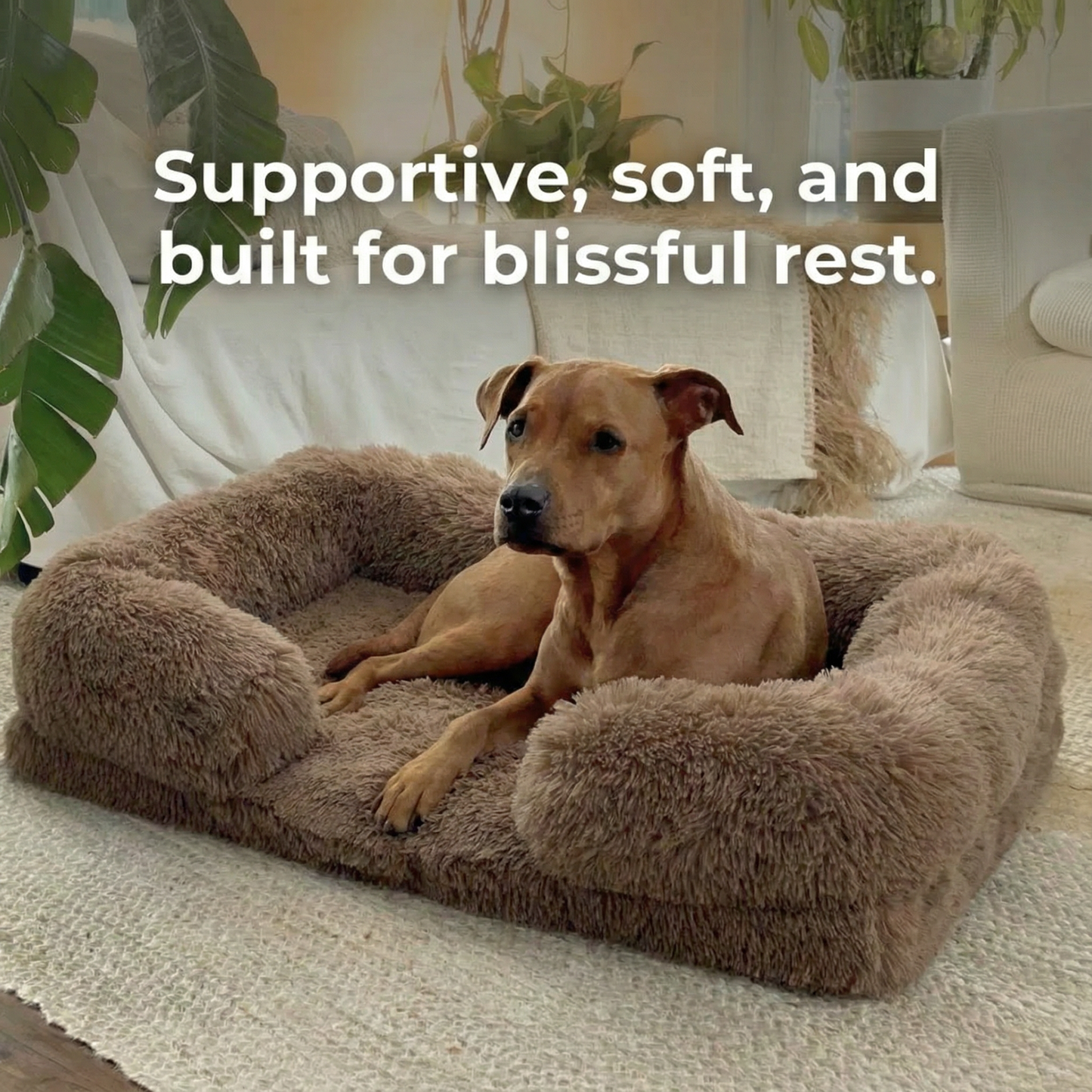 PAWZIE ORTHO-CLOUD SOFA