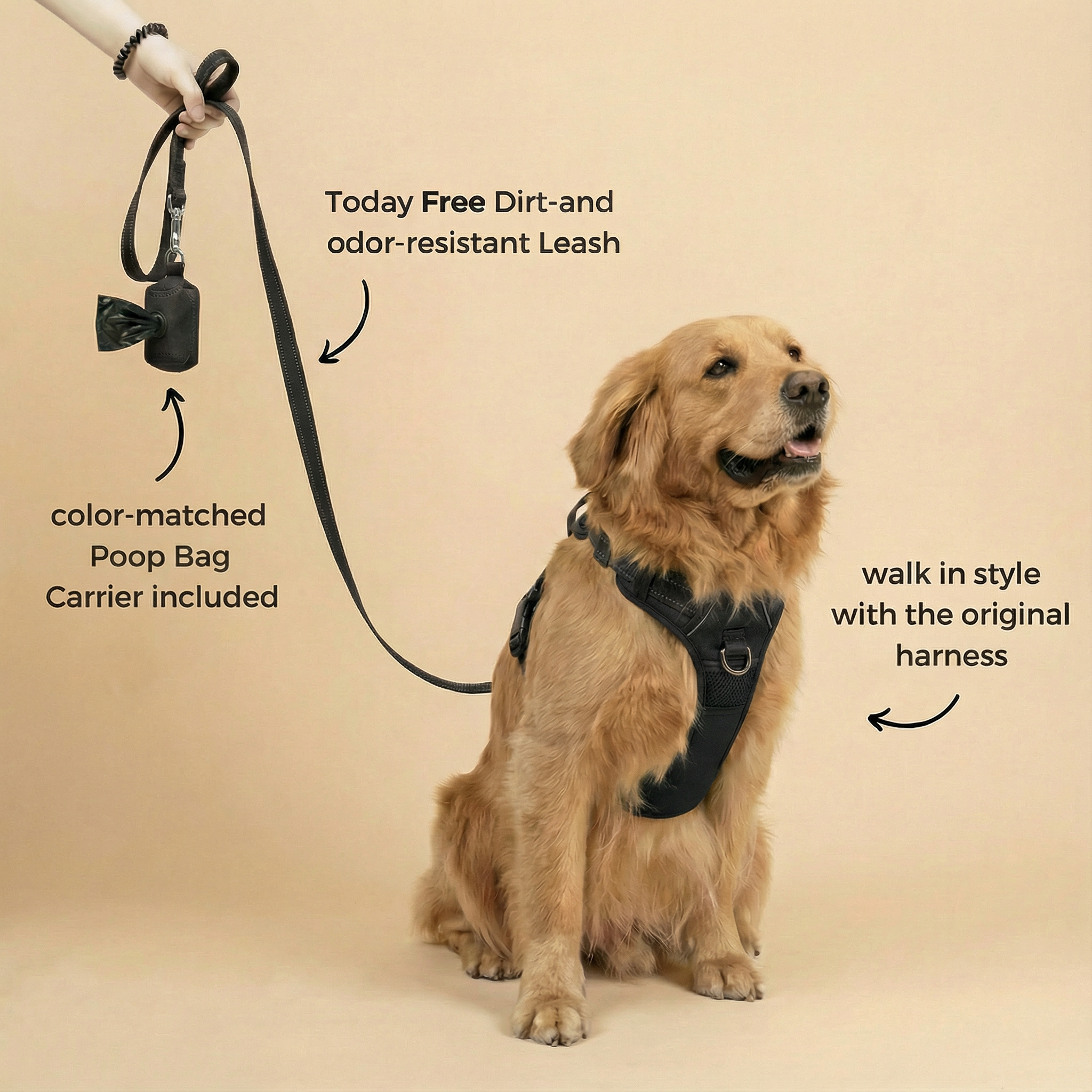 PAWZIE ANTI-PULL HARNESS
