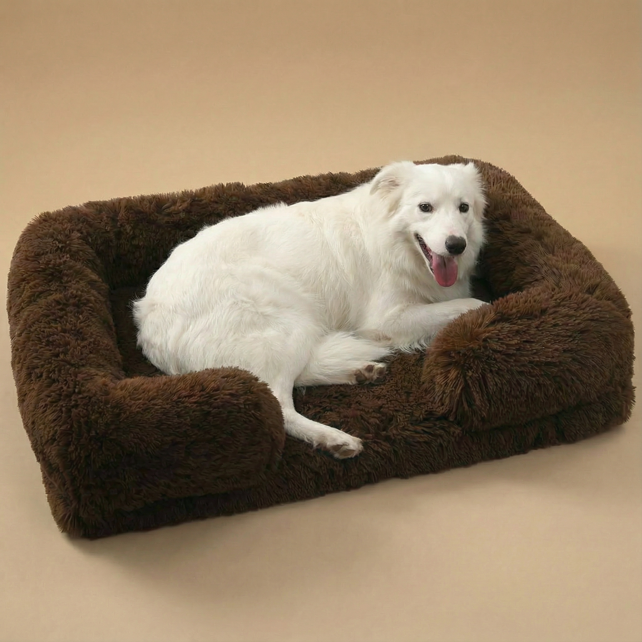 White dog lying on a brown pet bed against a beige background