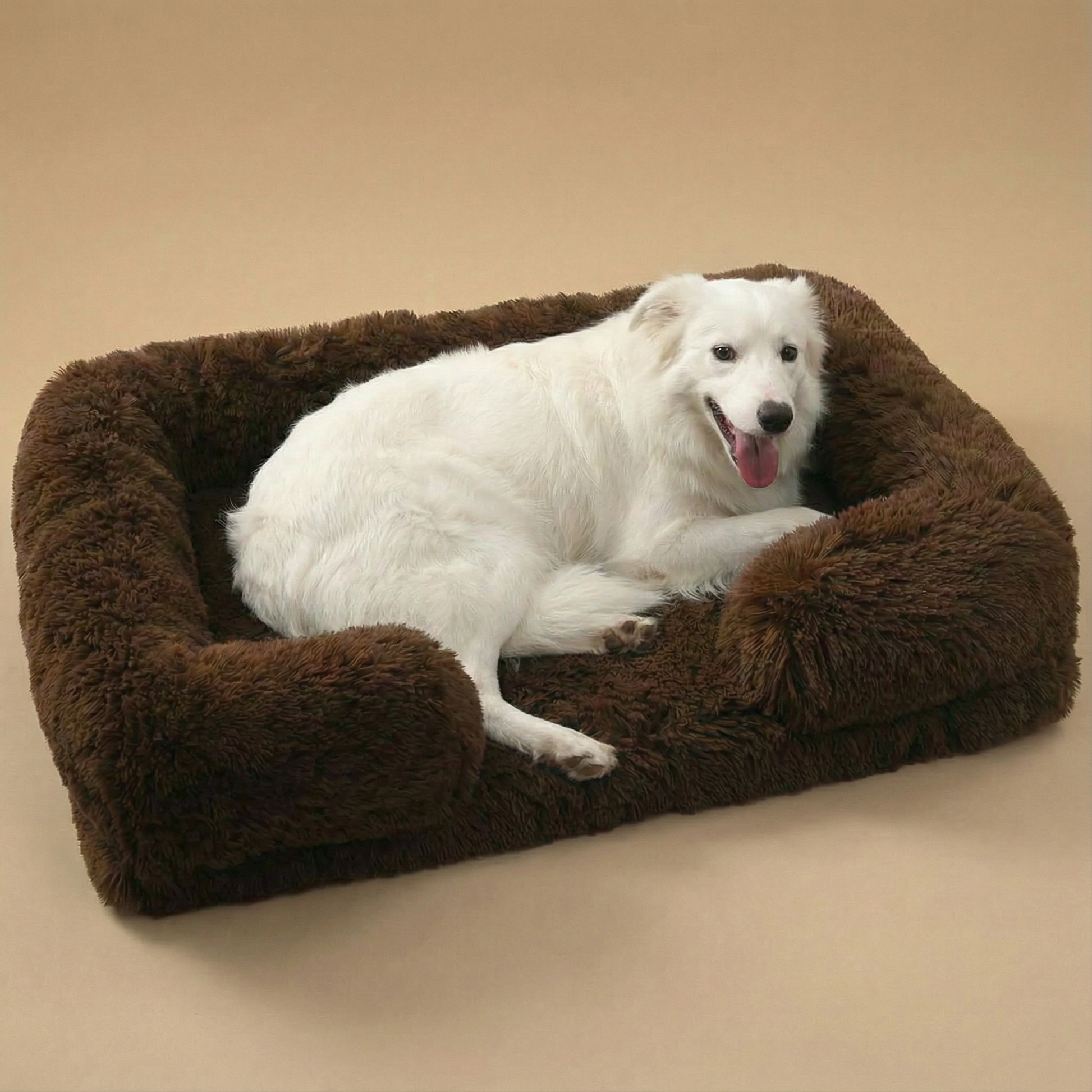 White dog lying on a brown pet bed against a beige background