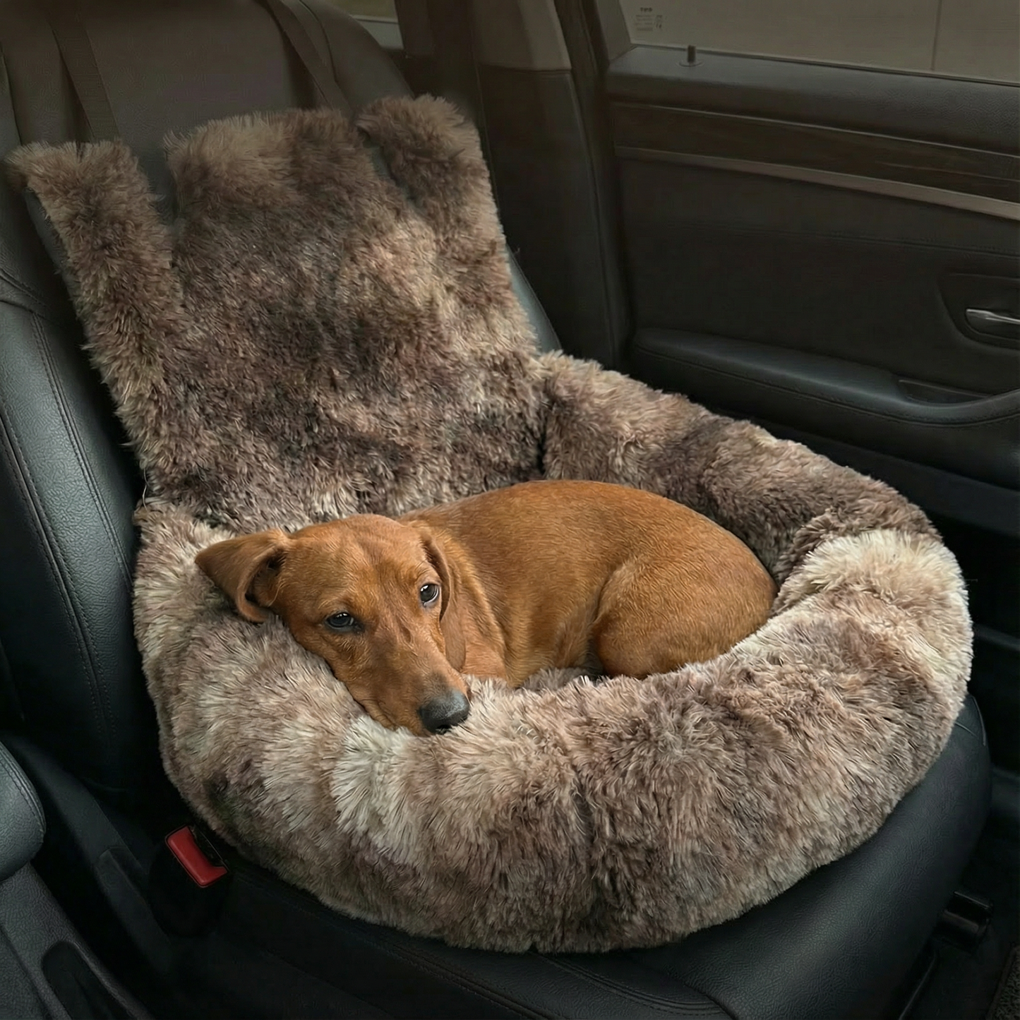 PAWZIE CLOUD CAR BED