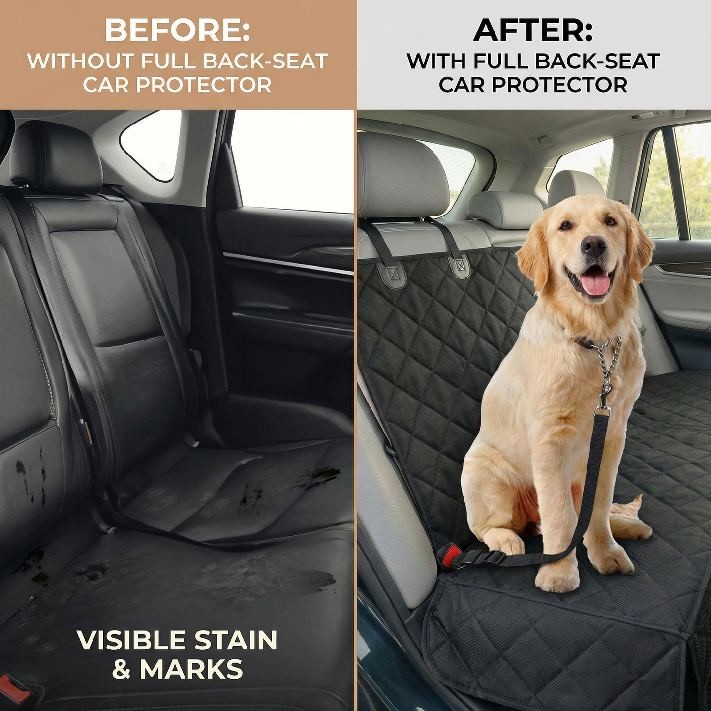 PAWZIE ULTIMATE BENCH SHIELD